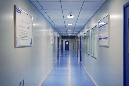 第五屆中國(guó)醫(yī)療器械創(chuàng)新創(chuàng)業(yè)大賽體外診斷（IVD）產(chǎn)品決賽在貴州隆重啟幕